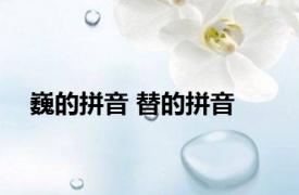 巍的拼音 替的拼音 