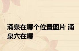 涌泉在哪个位置图片 涌泉穴在哪 