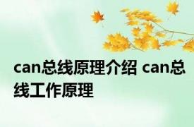 can总线原理介绍 can总线工作原理 