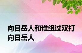 向日岳人和谁组过双打 向日岳人 