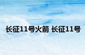 长征11号火箭 长征11号 