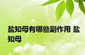 盐知母有哪些副作用 盐知母 