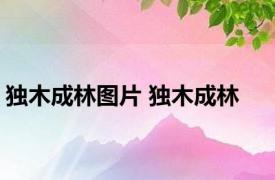 独木成林图片 独木成林 