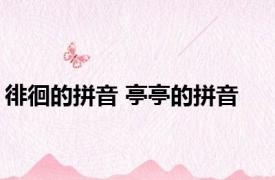 徘徊的拼音 亭亭的拼音 