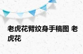 老虎花臂纹身手稿图 老虎花 