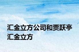 汇金立方公司和贾跃亭 汇金立方 