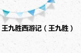 王九胜西游记（王九胜）