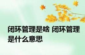 闭环管理是啥 闭环管理是什么意思 