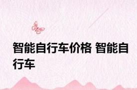 智能自行车价格 智能自行车 