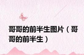 哥哥的前半生图片（哥哥的前半生）