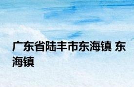 广东省陆丰市东海镇 东海镇 
