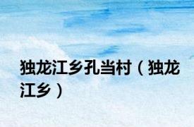 独龙江乡孔当村（独龙江乡）