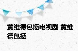 黄维德包拯电视剧 黄维德包拯 