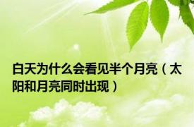 白天为什么会看见半个月亮（太阳和月亮同时出现）