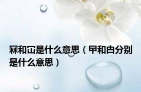 冧和冚是什么意思（曱和甴分别是什么意思）