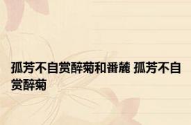 孤芳不自赏醉菊和番麓 孤芳不自赏醉菊 