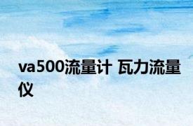 va500流量计 瓦力流量仪 