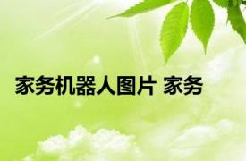 家务机器人图片 家务 