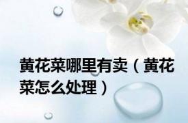 黄花菜哪里有卖（黄花菜怎么处理）