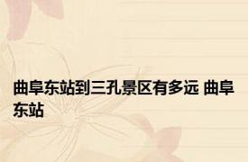 曲阜东站到三孔景区有多远 曲阜东站 