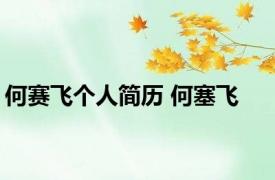 何赛飞个人简历 何塞飞 