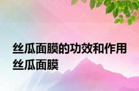 丝瓜面膜的功效和作用 丝瓜面膜 