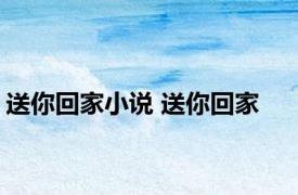 送你回家小说 送你回家 
