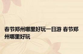 春节郑州哪里好玩一日游 春节郑州哪里好玩 