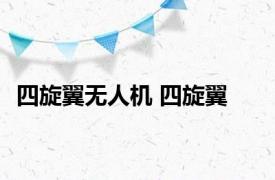 四旋翼无人机 四旋翼 