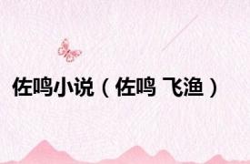 佐鸣小说（佐鸣 飞渔）