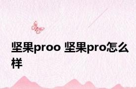 坚果proo 坚果pro怎么样 