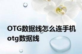 OTG数据线怎么连手机 otg数据线 