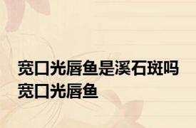宽口光唇鱼是溪石斑吗 宽口光唇鱼 