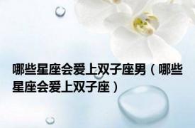 哪些星座会爱上双子座男（哪些星座会爱上双子座）