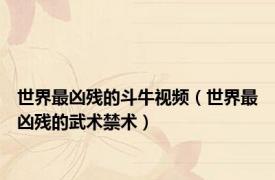 世界最凶残的斗牛视频（世界最凶残的武术禁术）