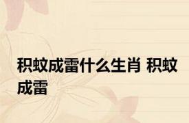 积蚊成雷什么生肖 积蚊成雷 