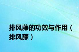 排风藤的功效与作用（排风藤）