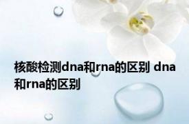 核酸检测dna和rna的区别 dna和rna的区别 