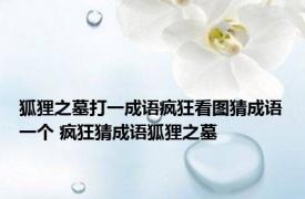 狐狸之墓打一成语疯狂看图猜成语一个 疯狂猜成语狐狸之墓 