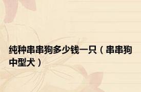 纯种串串狗多少钱一只（串串狗中型犬）