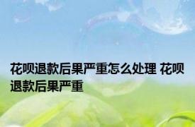 花呗退款后果严重怎么处理 花呗退款后果严重 