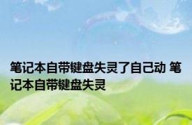 笔记本自带键盘失灵了自己动 笔记本自带键盘失灵 