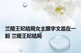 兰陵王妃结局女主跟宇文邕在一起 兰陵王妃结局 