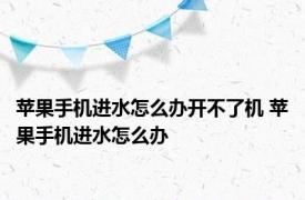 苹果手机进水怎么办开不了机 苹果手机进水怎么办 