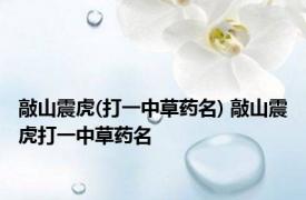 敲山震虎(打一中草药名) 敲山震虎打一中草药名 
