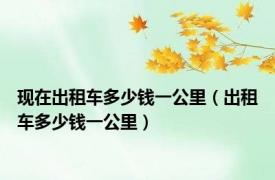 现在出租车多少钱一公里（出租车多少钱一公里）