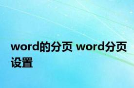 word的分页 word分页设置 