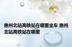 惠州北站高铁站在哪里坐车 惠州北站高铁站在哪里 