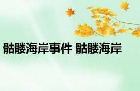 骷髅海岸事件 骷髅海岸 