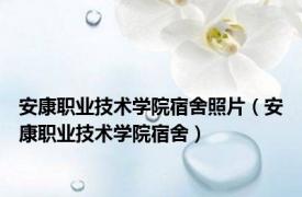安康职业技术学院宿舍照片（安康职业技术学院宿舍）